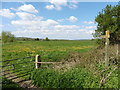 Footpath to Henley Bridge