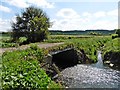 Pitney Steart Bridge