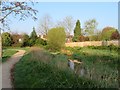 Cove Brook by Mayfield Road