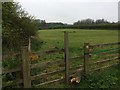 Footpath to Avening Green