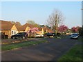 Bungalows on Glebe Road