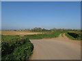 Bridleway from Hayes Lane