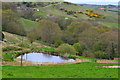 Pond below Howdale Farm