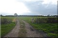 Track towards the Derwent