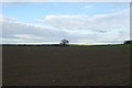 Farmland from High Catton Road