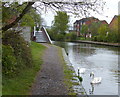 Towpath along the Birmingham Canal in Tipton