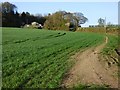 Farmland, Penn