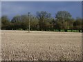 Farmland, Hughenden