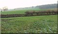 SE0654 : Farmland near Bolton Abbey by Derek Harper
