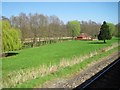 View from a Southampton-Salisbury train - Fields near East Dene