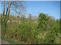 View from a Southampton-Salisbury train - Houses peek through the trees at Alderbury Common