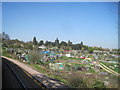 View from a Southampton-Salisbury train - Allotments near Laverstock, Salisbury