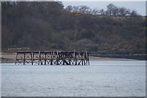 NT1380 : Old jetty off Carlingnose Point, North Queensferry by Brydon Leask
