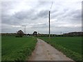 Lane leading towards Cossington Farm