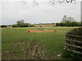 Grass field with sheep feeder