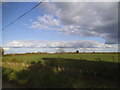 Field in New Green, Bardfield Saling