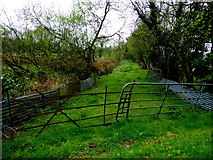 H4478 : Rusty gates, Knockmoyle by Kenneth  Allen