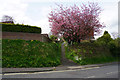 Footpath behind the houses