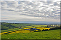 Brightlycott Farm, near Shirwell