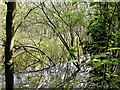 Lagoon at former Broomgrove Power Station