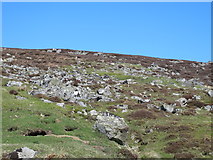 NY9049 : Rock outcrop on Riddlehamhope Fell north of Heatheryburn (2) by Mike Quinn