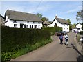 Thatch in West Town, Newton St Cyres