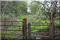 Stile next to gate on track, Grwhay