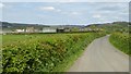 Country road approaching Nind Farm