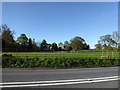 View to Castle Weir, Lyonshall