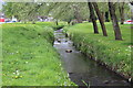 Porset Brook, alongside Lon yr Odyn, Caerphilly