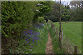 Path to Pound Green Lane