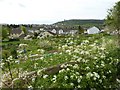 View over allotments in Wotton-under-Edge