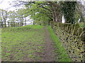 Wall-side footpath near Wood Hill