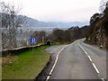NH5735 : Layby on Southbound A82, Loch Ness by David Dixon