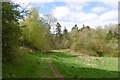 River Ayr Way, Ballochmyle