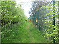 Bridleway beside the Kingspan works at Sherburn