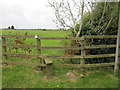 Stile and footpath