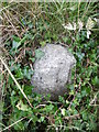 SC3797 : Old Milestone by the A13, Berrag, Isle of Man by Milestone Society