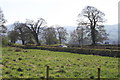 View of minor road from Hersedd Farm