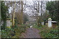 TQ3386 : Abney Park Cemetery by N Chadwick