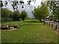 Green space along Ryder Road in Braunstone Frith