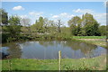 Pond near Upper Church Farm