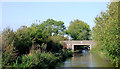 Canal south of  Penkridge, Staffordshire