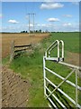 Gate and electric poles