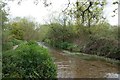 River Piddle near Throop