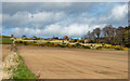 Barns at Mount Pleasant