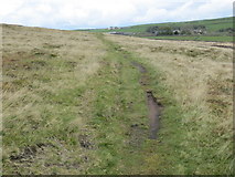 SE0428 : The Calderdale Way Footpath crossing part of Warley Moor by Peter Wood