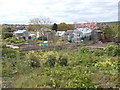 Allotments - Bilton Drive