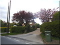 Gardens by Finchingfield Road, Steeple Bumpstead