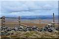 NT1515 : Summit fence, Firthhope Rig by Jim Barton
